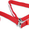 Blazin' Safety LED Dog Leash - USB Rechargeable Light, 6 Ft, Waterproof - Avoid Danger - Red